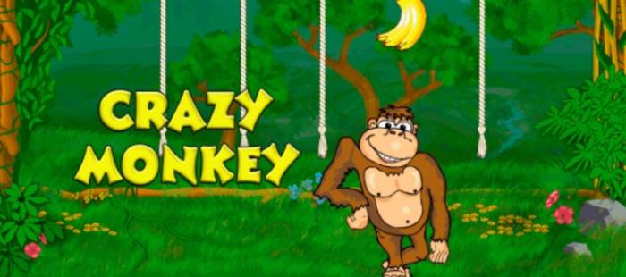 Crazy Monkey.jpg